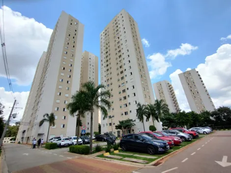 Barueri - Centro - Apartamento - Padrão - Locaçao