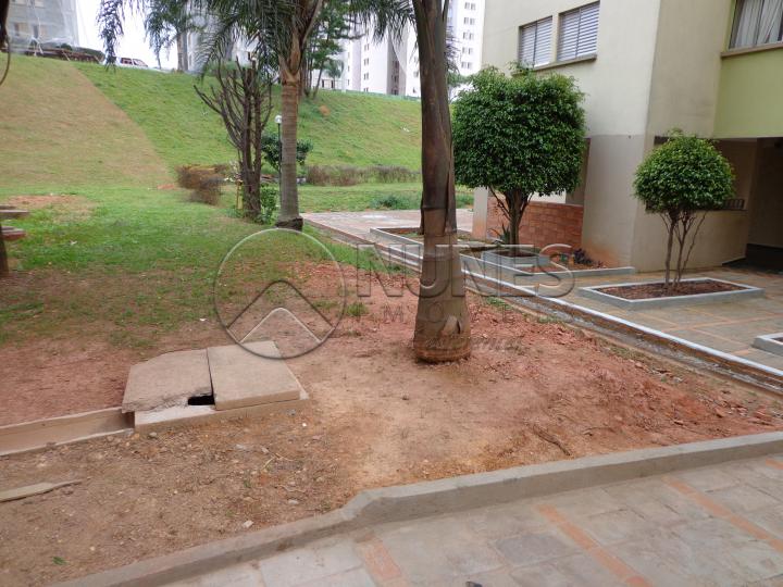 Alugar Apartamento / Padrão em Osasco apenas R$ 800,00 - Foto 13 Alugar Apartamento / Padrão em Osasco apenas R$ 800,00 - Foto 13