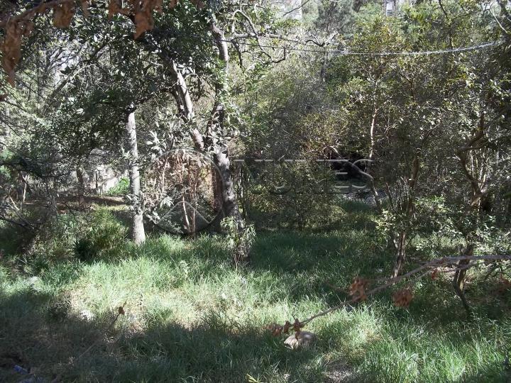 Comprar Terreno / Terreno em Itapevi apenas R$ 550.000,00 - Foto 4 Comprar Terreno / Terreno em Itapevi apenas R$ 550.000,00 - Foto 4