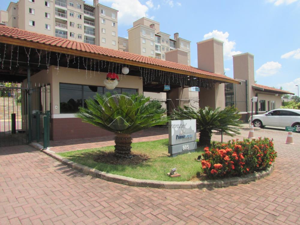 Alugar Apartamento / Padrão em Campinas apenas R$ 1.550,00 - Foto 1 Alugar Apartamento / Padrão em Campinas apenas R$ 1.550,00 - Foto 1