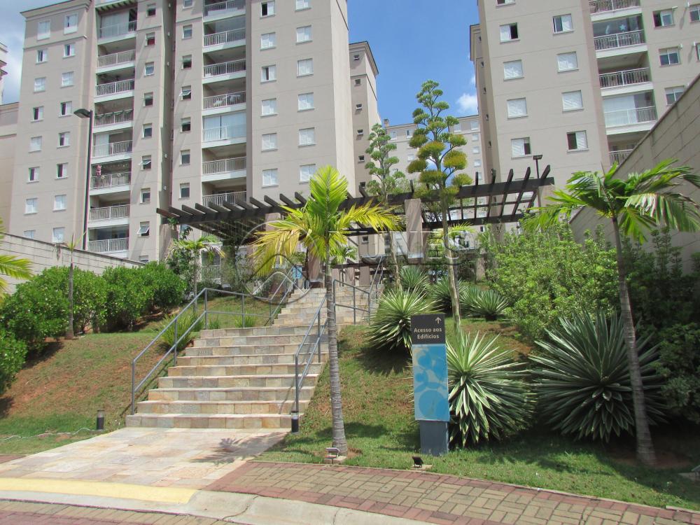 Alugar Apartamento / Padrão em Campinas apenas R$ 1.550,00 - Foto 2 Alugar Apartamento / Padrão em Campinas apenas R$ 1.550,00 - Foto 2