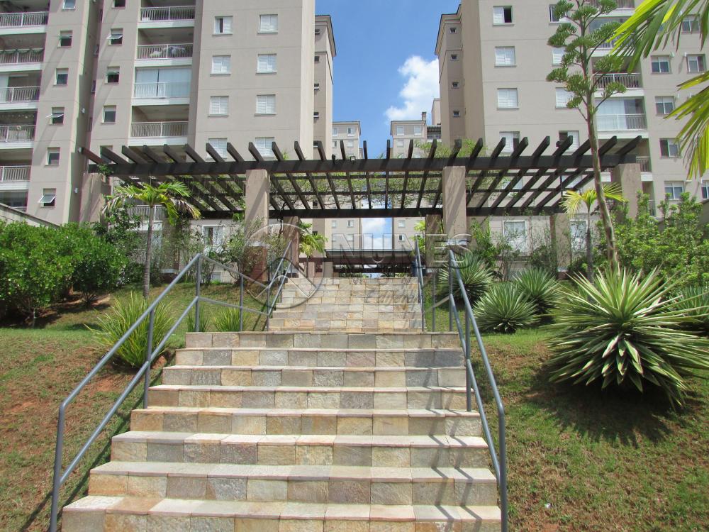 Alugar Apartamento / Padrão em Campinas apenas R$ 1.550,00 - Foto 3 Alugar Apartamento / Padrão em Campinas apenas R$ 1.550,00 - Foto 3