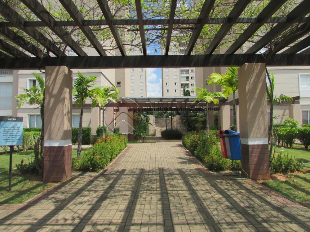Alugar Apartamento / Padrão em Campinas apenas R$ 1.550,00 - Foto 4 Alugar Apartamento / Padrão em Campinas apenas R$ 1.550,00 - Foto 4