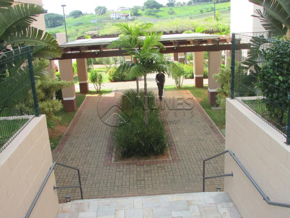 Alugar Apartamento / Padrão em Campinas apenas R$ 1.550,00 - Foto 5 Alugar Apartamento / Padrão em Campinas apenas R$ 1.550,00 - Foto 5