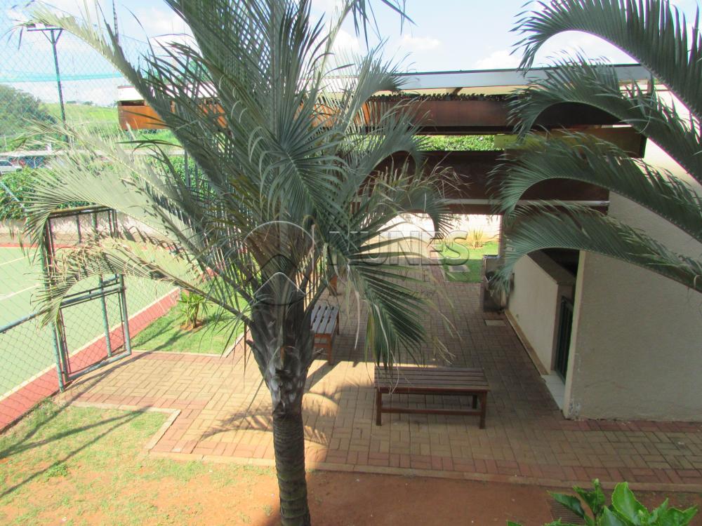 Alugar Apartamento / Padrão em Campinas apenas R$ 1.550,00 - Foto 9 Alugar Apartamento / Padrão em Campinas apenas R$ 1.550,00 - Foto 9