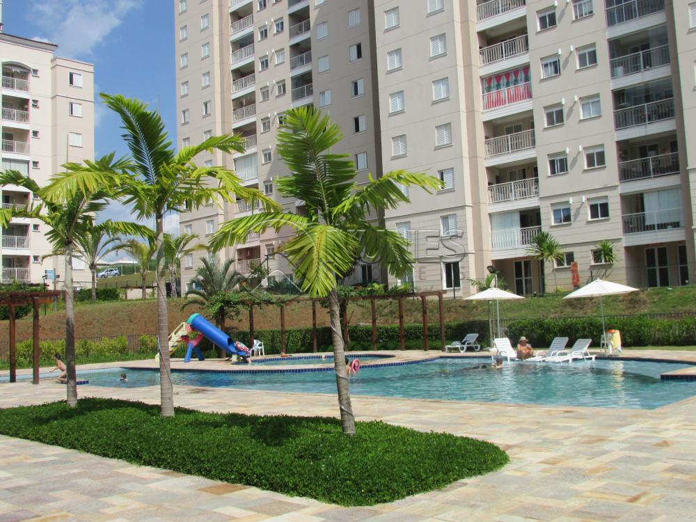 Alugar Apartamento / Padrão em Campinas apenas R$ 1.550,00 - Foto 12 Alugar Apartamento / Padrão em Campinas apenas R$ 1.550,00 - Foto 12