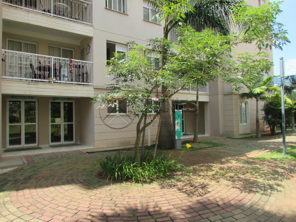 Alugar Apartamento / Padrão em Campinas apenas R$ 1.550,00 - Foto 14 Alugar Apartamento / Padrão em Campinas apenas R$ 1.550,00 - Foto 14