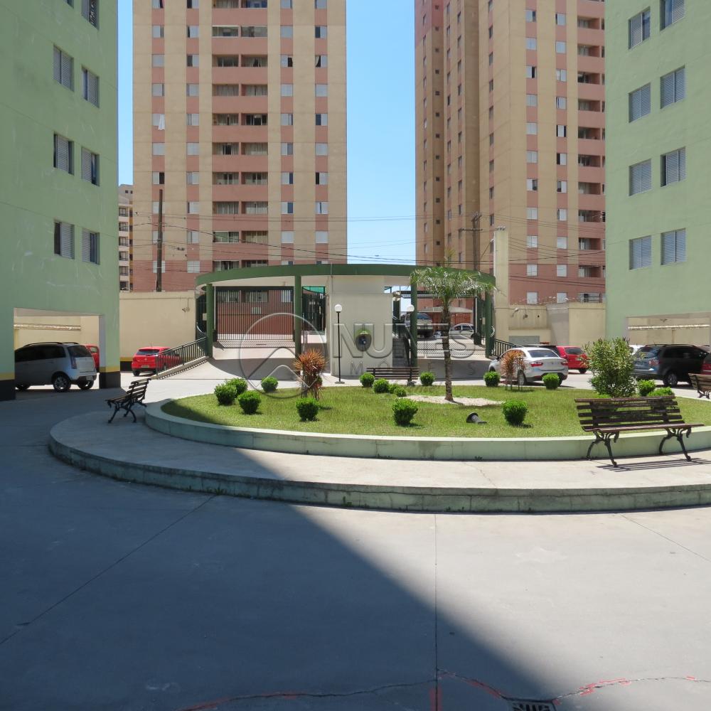 Alugar Apartamento / Padrão em Osasco apenas R$ 900,00 - Foto 13 Alugar Apartamento / Padrão em Osasco apenas R$ 900,00 - Foto 13