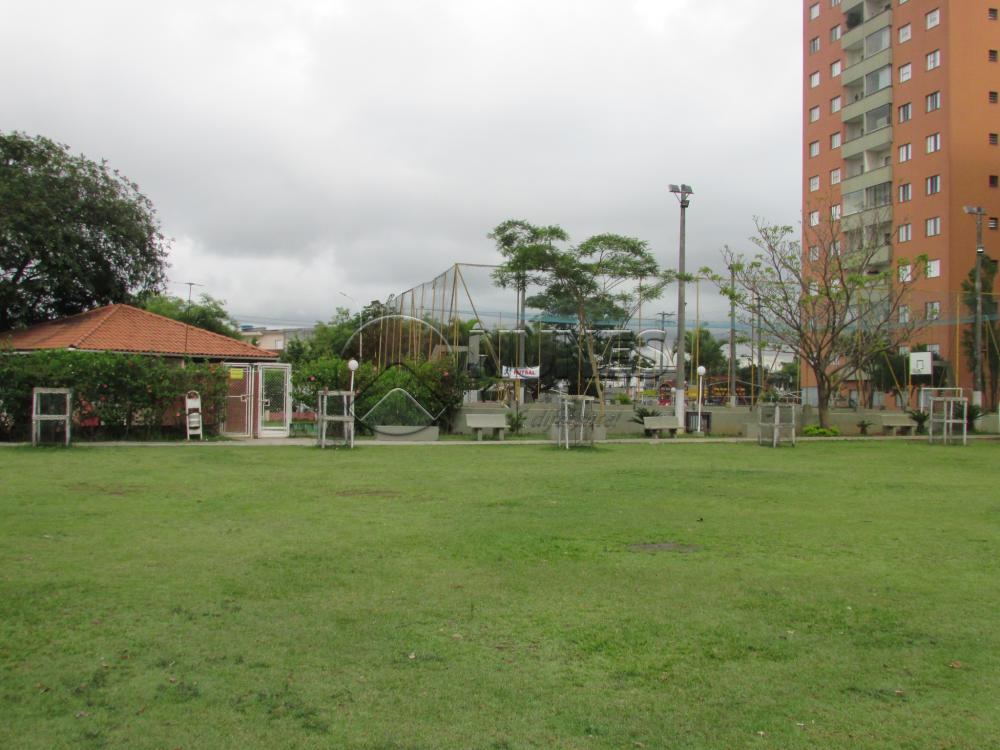 Alugar Apartamento / Padrão em Osasco apenas R$ 900,00 - Foto 3 Alugar Apartamento / Padrão em Osasco apenas R$ 900,00 - Foto 3