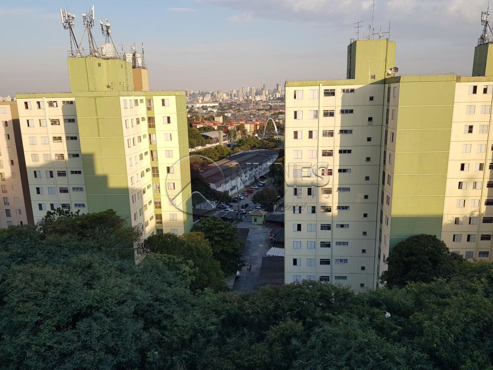 Alugar Apartamento / Padrão em Osasco apenas R$ 1.350,00 - Foto 15 Alugar Apartamento / Padrão em Osasco apenas R$ 1.350,00 - Foto 15