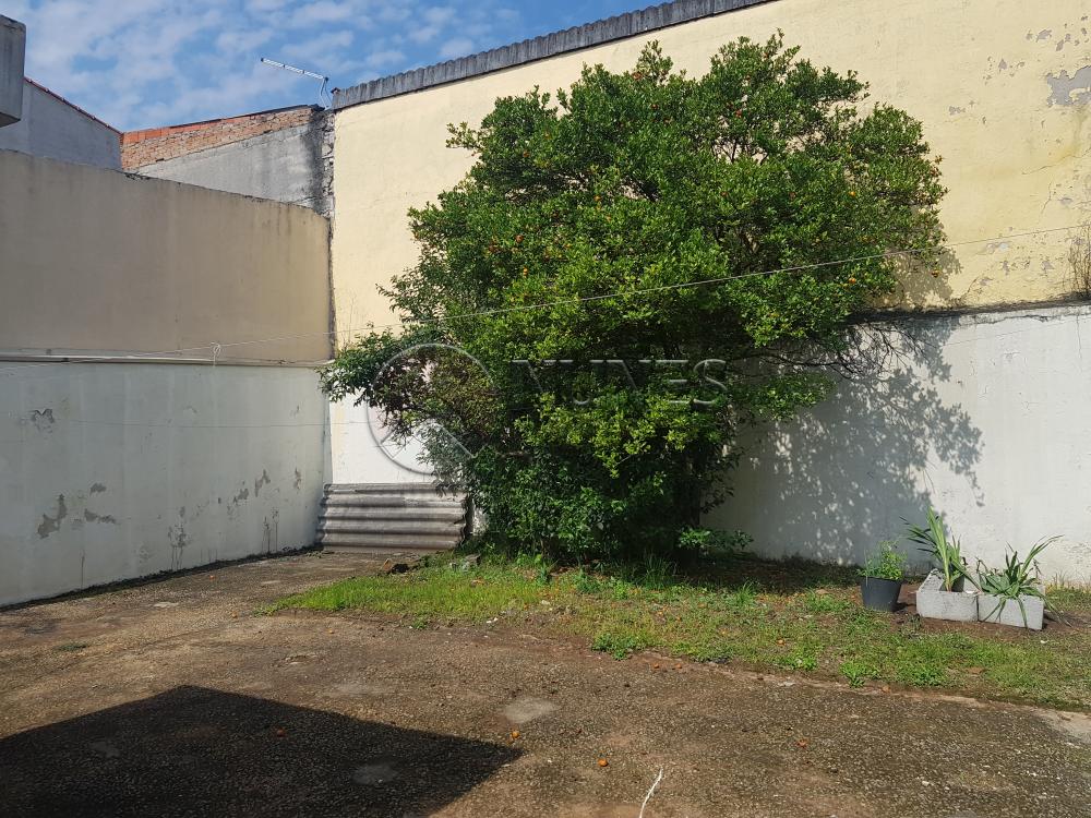 Alugar Casa / Terrea em Osasco apenas R$ 1.400,00 - Foto 14 Alugar Casa / Terrea em Osasco apenas R$ 1.400,00 - Foto 14