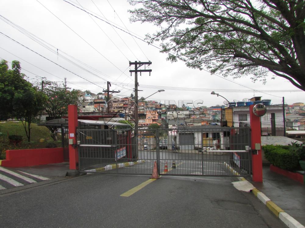 Alugar Apartamento / Padrão em Osasco apenas R$ 800,00 - Foto 1 Alugar Apartamento / Padrão em Osasco apenas R$ 800,00 - Foto 1