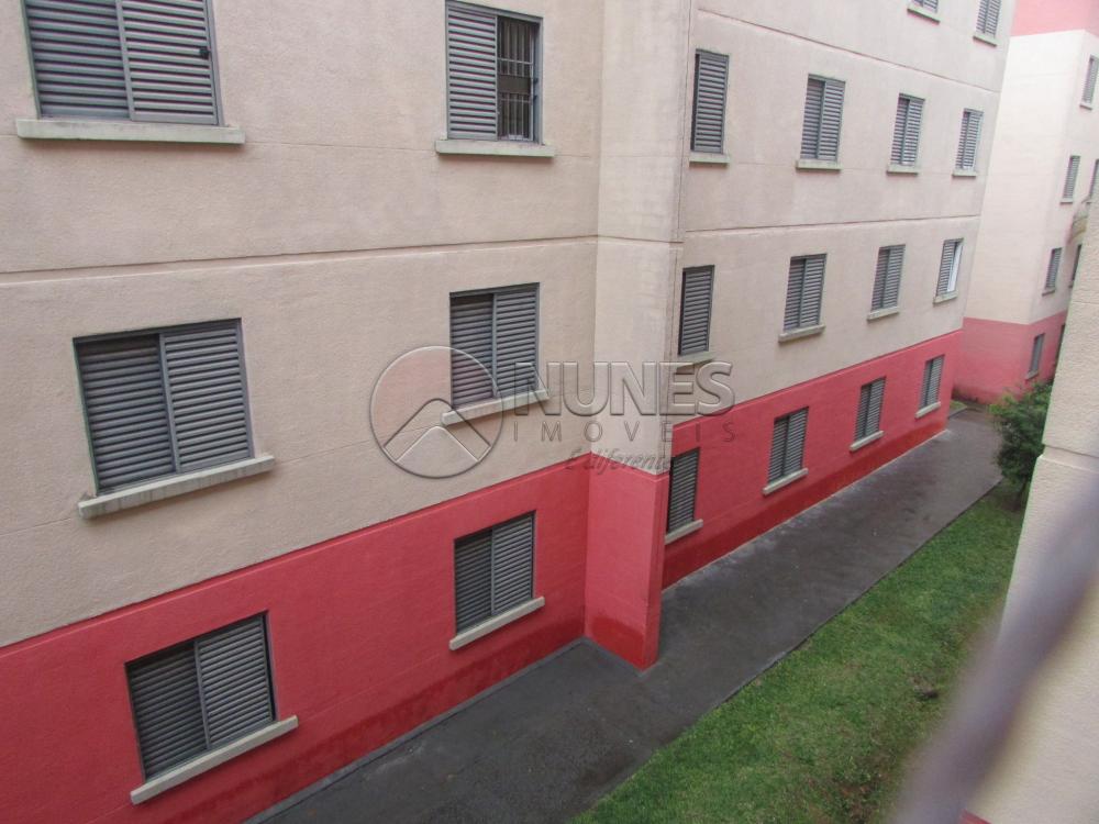 Alugar Apartamento / Padrão em Osasco apenas R$ 800,00 - Foto 13 Alugar Apartamento / Padrão em Osasco apenas R$ 800,00 - Foto 13