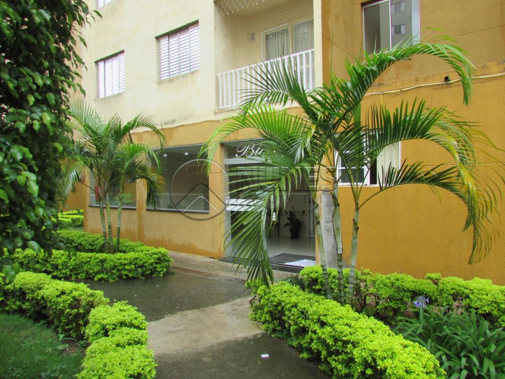 Alugar Apartamento / Apartamento em Osasco apenas R$ 950,00 - Foto 5 Alugar Apartamento / Apartamento em Osasco apenas R$ 950,00 - Foto 5