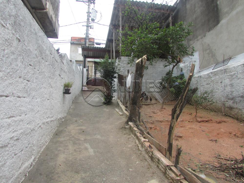 Alugar Casa / Terrea em Osasco apenas R$ 800,00 - Foto 3 Alugar Casa / Terrea em Osasco apenas R$ 800,00 - Foto 3