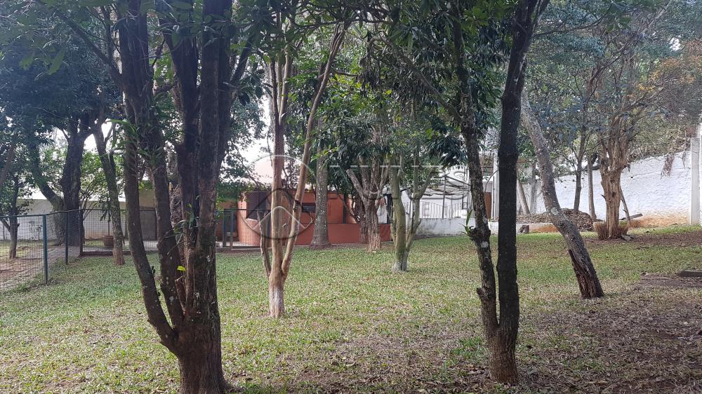 Comprar Casa / Cond.fechado em Carapicuíba apenas R$ 1.500.000,00 - Foto 35 Comprar Casa / Cond.fechado em Carapicuíba apenas R$ 1.500.000,00 - Foto 35
