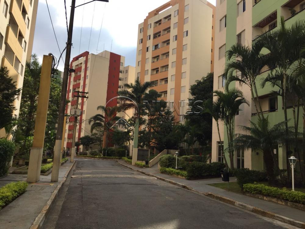 Comprar Apartamento / Padrão em Osasco apenas R$ 300.000,00 - Foto 16 Comprar Apartamento / Padrão em Osasco apenas R$ 300.000,00 - Foto 16