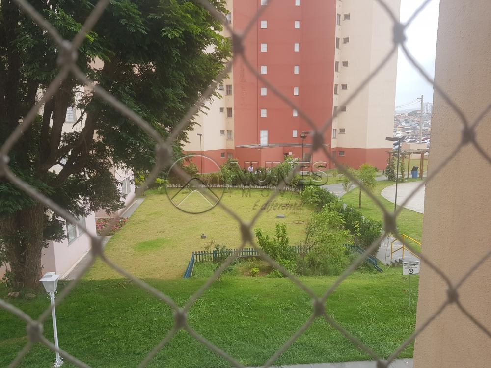 Alugar Apartamento / Padrão em Osasco apenas R$ 800,00 - Foto 13 Alugar Apartamento / Padrão em Osasco apenas R$ 800,00 - Foto 13