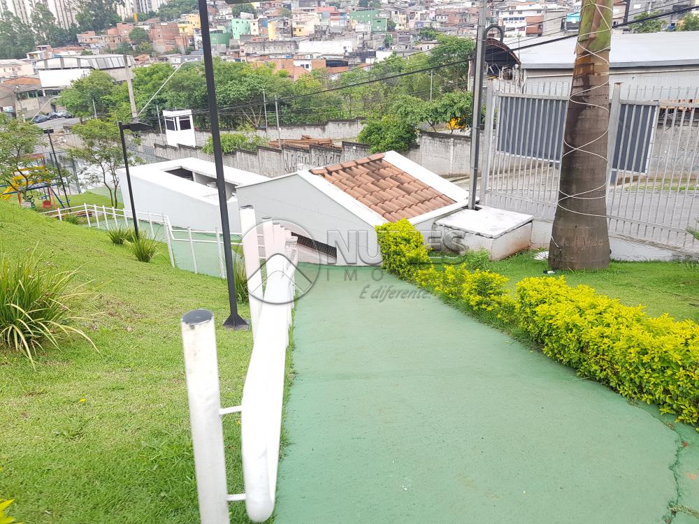 Alugar Apartamento / Padrão em Osasco apenas R$ 850,00 - Foto 31 Alugar Apartamento / Padrão em Osasco apenas R$ 850,00 - Foto 31