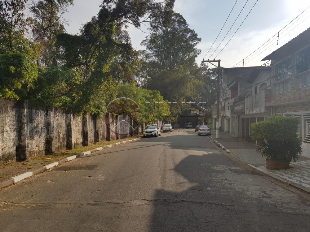 Alugar Casa / Assobradada em Osasco apenas R$ 1.050,00 - Foto 17 Alugar Casa / Assobradada em Osasco apenas R$ 1.050,00 - Foto 17