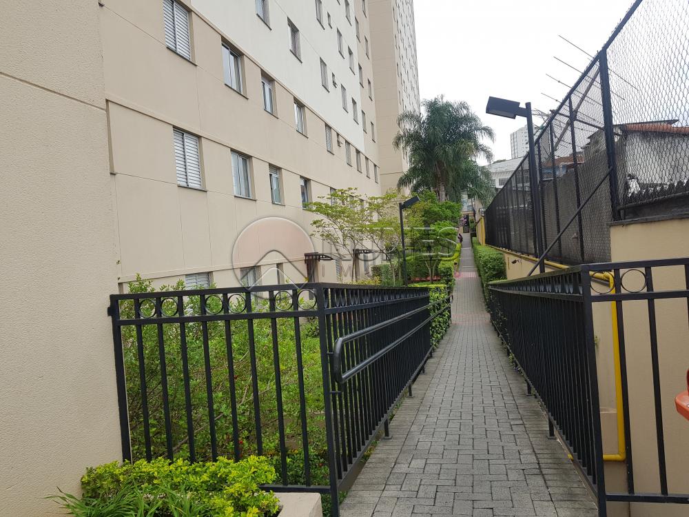 Alugar Apartamento / Padrão em São Paulo apenas R$ 1.300,00 - Foto 14 Alugar Apartamento / Padrão em São Paulo apenas R$ 1.300,00 - Foto 14