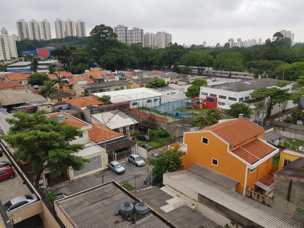 Alugar Apartamento / Padrão em São Paulo apenas R$ 1.300,00 - Foto 35 Alugar Apartamento / Padrão em São Paulo apenas R$ 1.300,00 - Foto 35