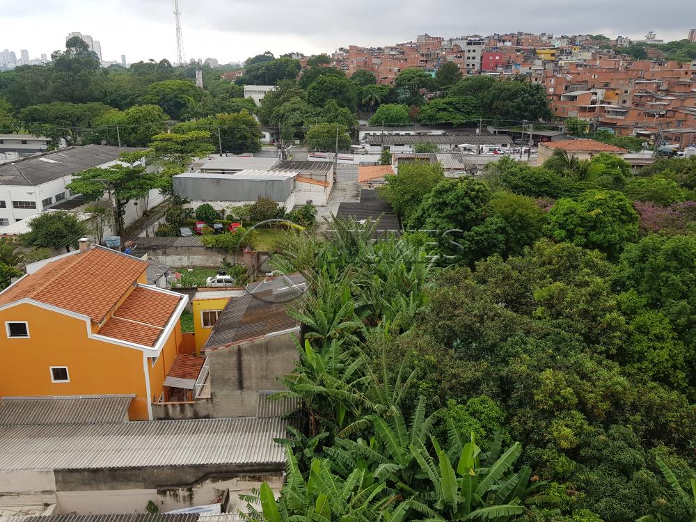 Alugar Apartamento / Padrão em São Paulo apenas R$ 1.300,00 - Foto 41 Alugar Apartamento / Padrão em São Paulo apenas R$ 1.300,00 - Foto 41