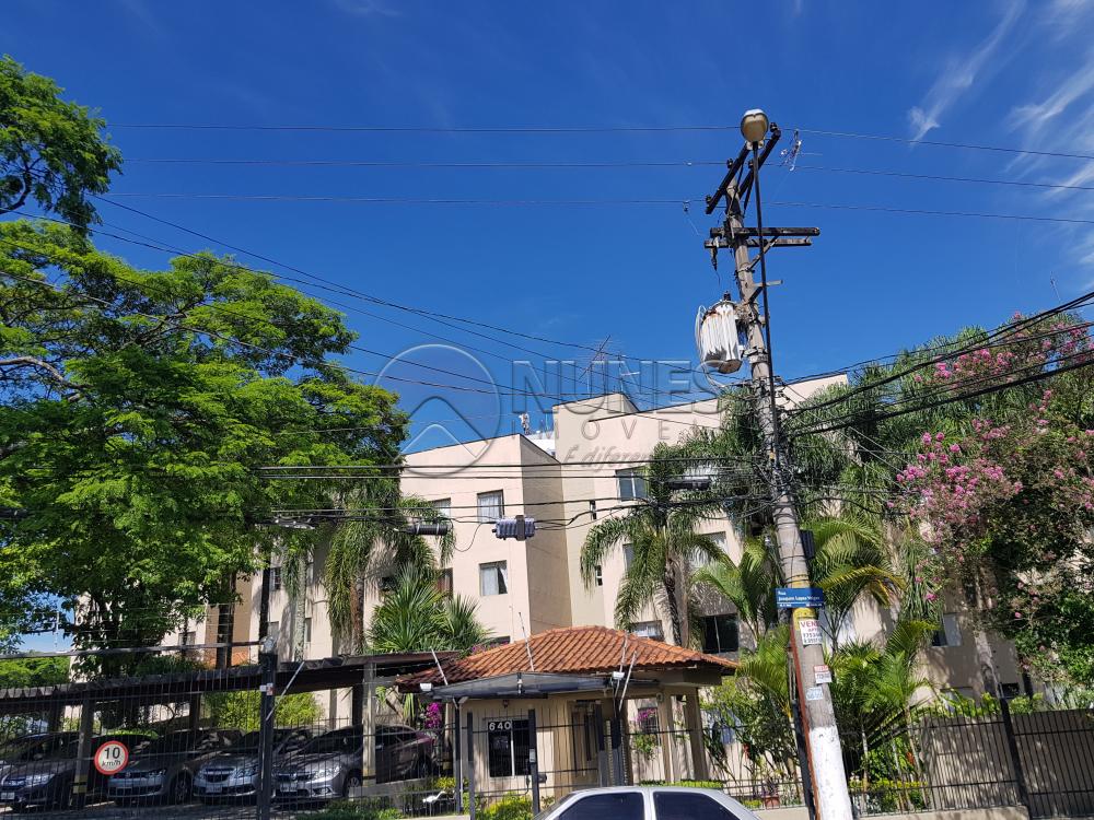Alugar Apartamento / Padrão em Osasco apenas R$ 900,00 - Foto 1 Alugar Apartamento / Padrão em Osasco apenas R$ 900,00 - Foto 1