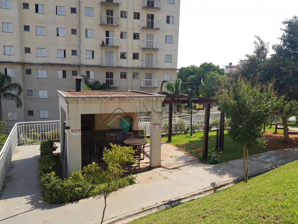 Alugar Apartamento / Padrão em Osasco apenas R$ 950,00 - Foto 34 Alugar Apartamento / Padrão em Osasco apenas R$ 950,00 - Foto 34