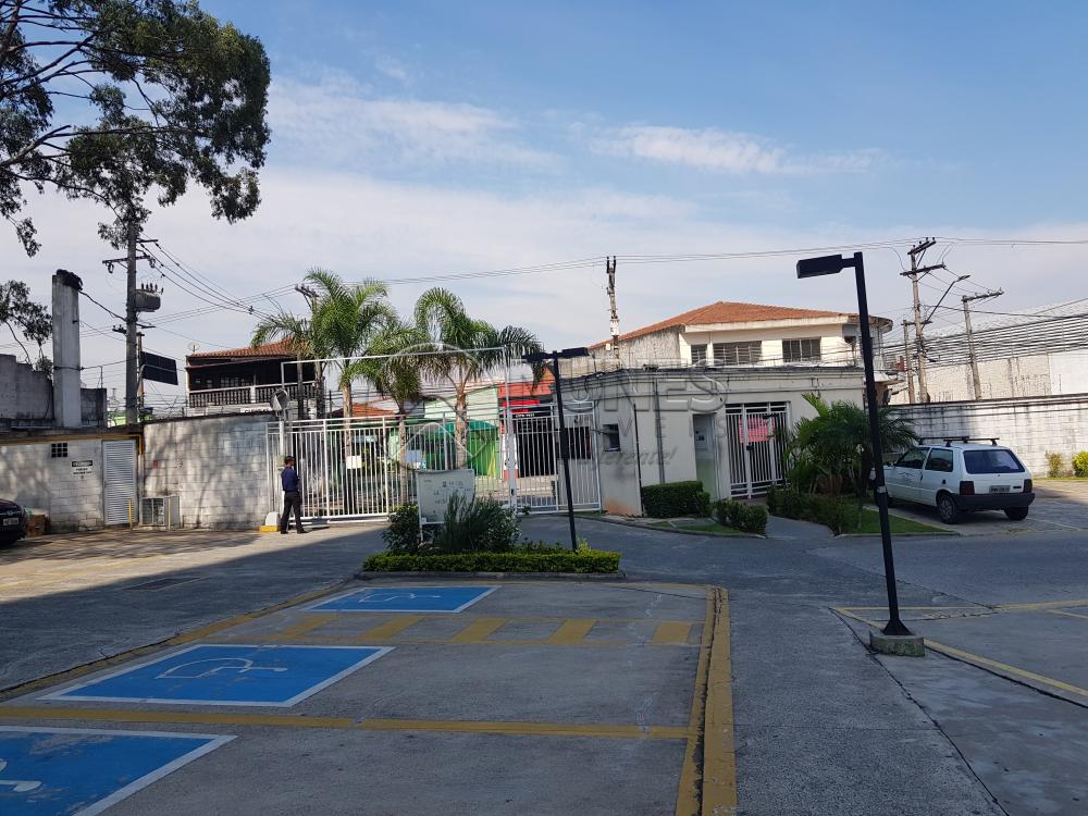Alugar Apartamento / Padrão em Osasco apenas R$ 950,00 - Foto 35 Alugar Apartamento / Padrão em Osasco apenas R$ 950,00 - Foto 35