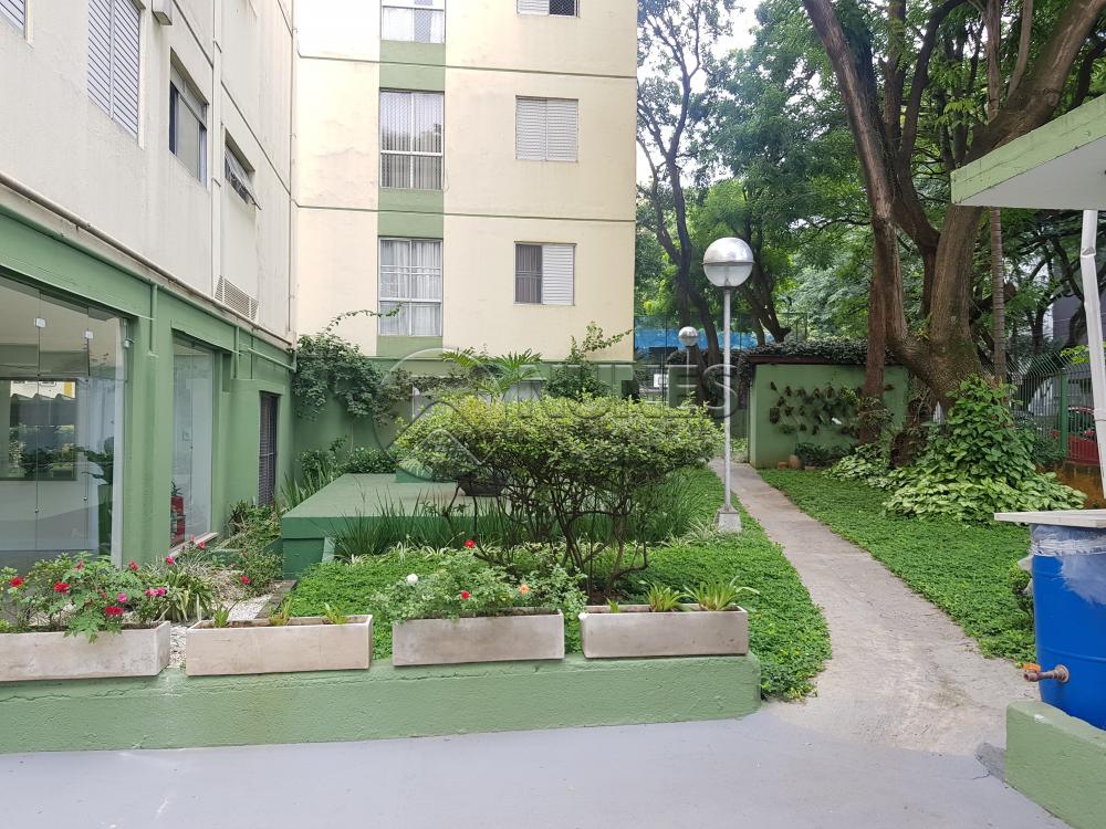Alugar Apartamento / Padrão em Osasco apenas R$ 1.050,00 - Foto 1 Alugar Apartamento / Padrão em Osasco apenas R$ 1.050,00 - Foto 1