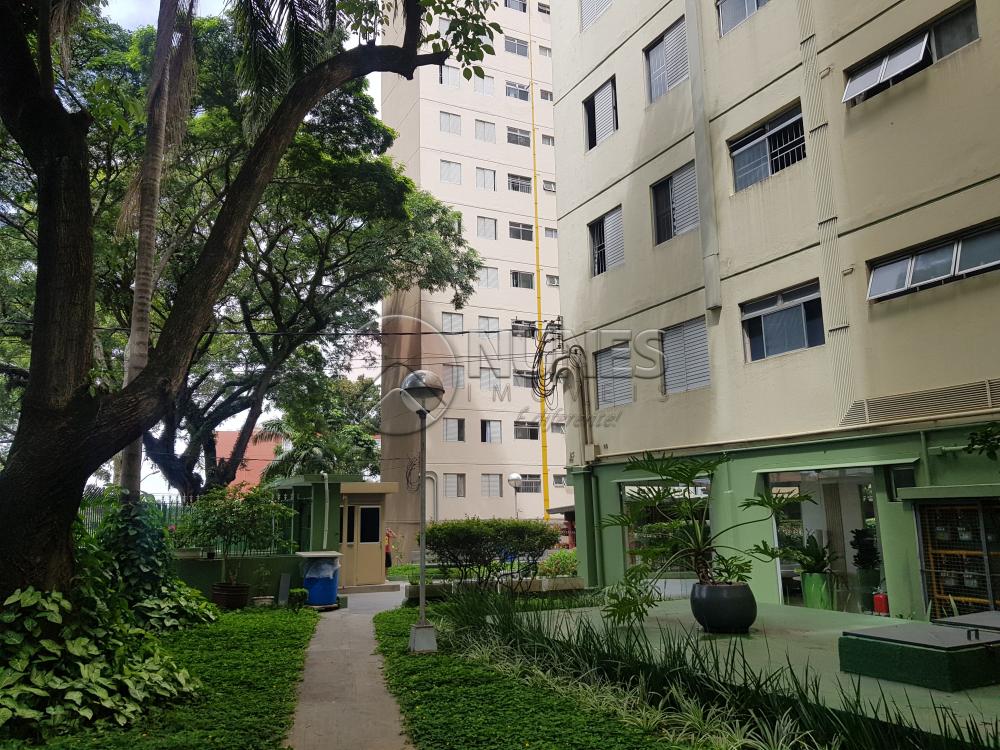 Alugar Apartamento / Padrão em Osasco apenas R$ 1.050,00 - Foto 3 Alugar Apartamento / Padrão em Osasco apenas R$ 1.050,00 - Foto 3