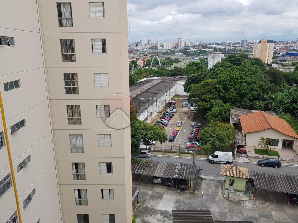 Alugar Apartamento / Padrão em Osasco apenas R$ 1.050,00 - Foto 31 Alugar Apartamento / Padrão em Osasco apenas R$ 1.050,00 - Foto 31