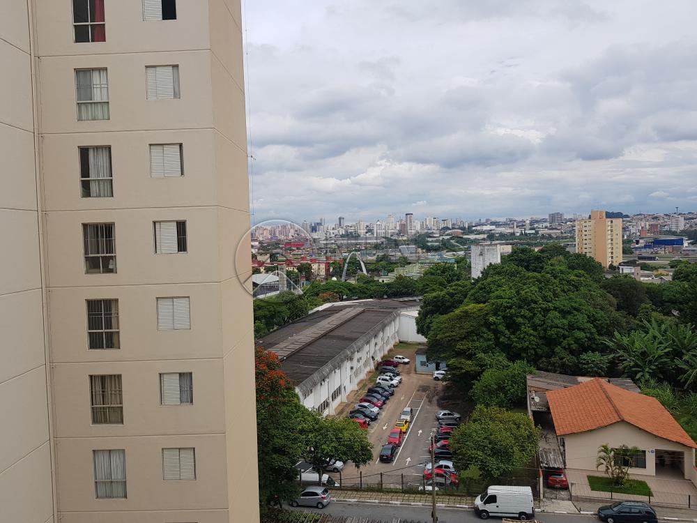 Alugar Apartamento / Padrão em Osasco apenas R$ 1.050,00 - Foto 33 Alugar Apartamento / Padrão em Osasco apenas R$ 1.050,00 - Foto 33