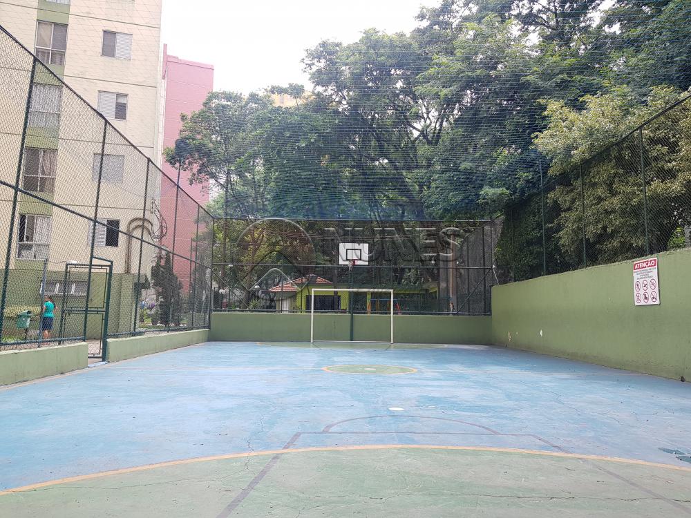 Alugar Apartamento / Padrão em Osasco apenas R$ 1.050,00 - Foto 37 Alugar Apartamento / Padrão em Osasco apenas R$ 1.050,00 - Foto 37