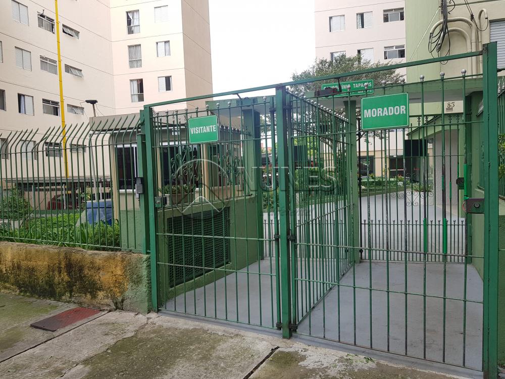 Alugar Apartamento / Padrão em Osasco apenas R$ 1.050,00 - Foto 38 Alugar Apartamento / Padrão em Osasco apenas R$ 1.050,00 - Foto 38