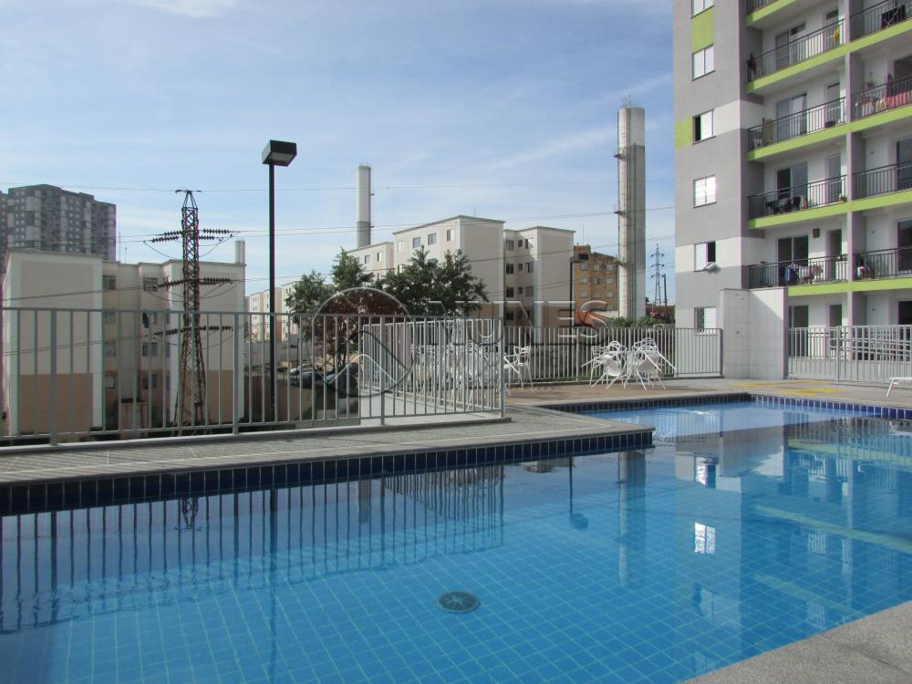 Alugar Apartamento / Padrão em Osasco apenas R$ 1.100,00 - Foto 29 Alugar Apartamento / Padrão em Osasco apenas R$ 1.100,00 - Foto 29