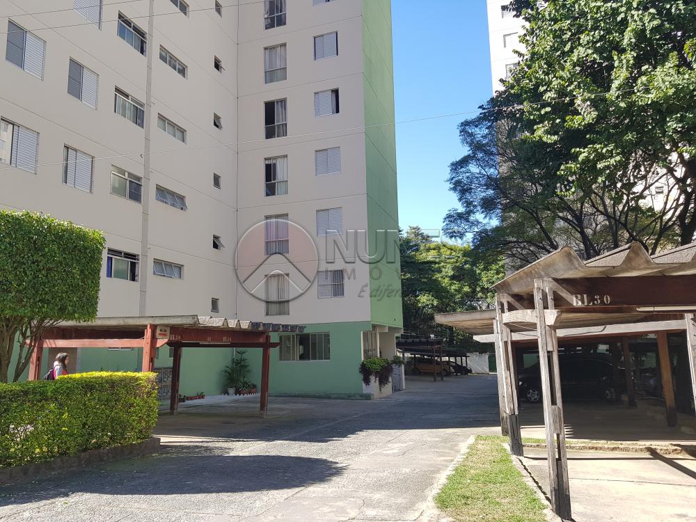 Alugar Apartamento / Padrão em Osasco apenas R$ 1.000,00 - Foto 35 Alugar Apartamento / Padrão em Osasco apenas R$ 1.000,00 - Foto 35
