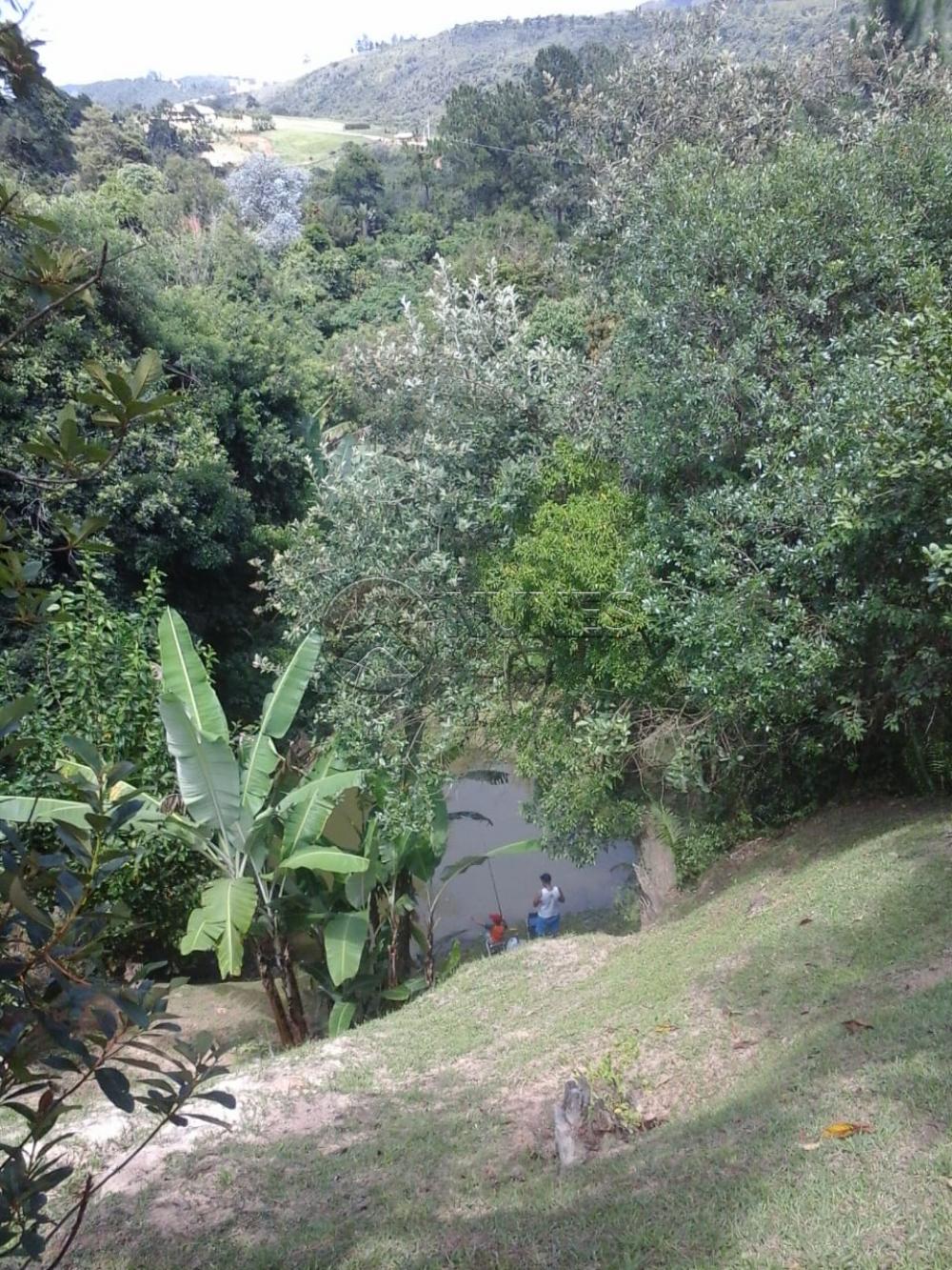 Comprar Rurais / Chacara em São Roque apenas R$ 700.000,00 - Foto 5 Comprar Rurais / Chacara em São Roque apenas R$ 700.000,00 - Foto 5
