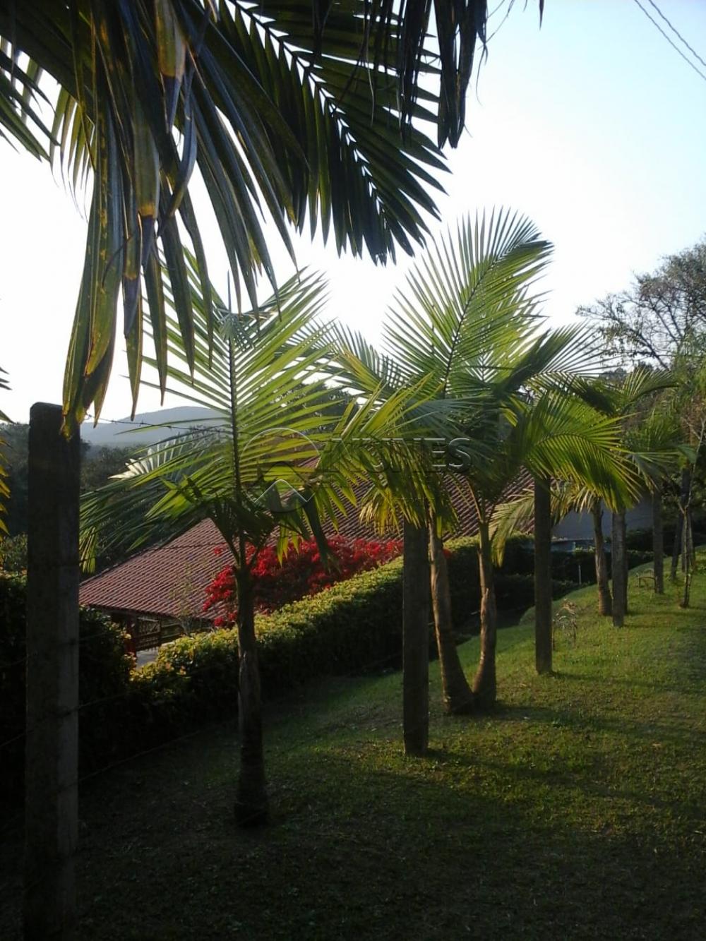 Comprar Rurais / Chacara em São Roque apenas R$ 700.000,00 - Foto 4 Comprar Rurais / Chacara em São Roque apenas R$ 700.000,00 - Foto 4