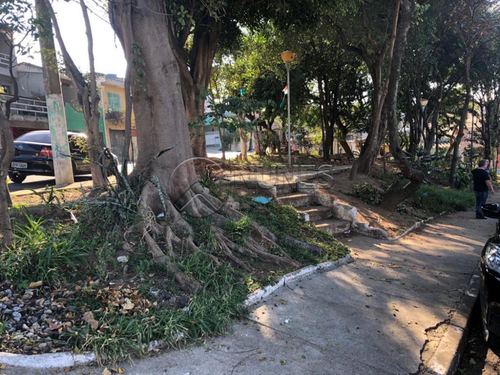 Comprar Casa / Terrea em Osasco apenas R$ 320.000,00 - Foto 22 Comprar Casa / Terrea em Osasco apenas R$ 320.000,00 - Foto 22