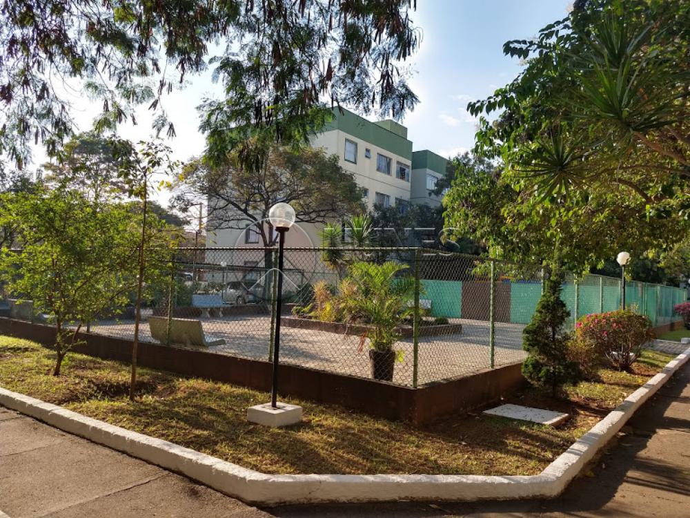 Comprar Apartamento / Padrão em Osasco apenas R$ 215.000,00 - Foto 17 Comprar Apartamento / Padrão em Osasco apenas R$ 215.000,00 - Foto 17