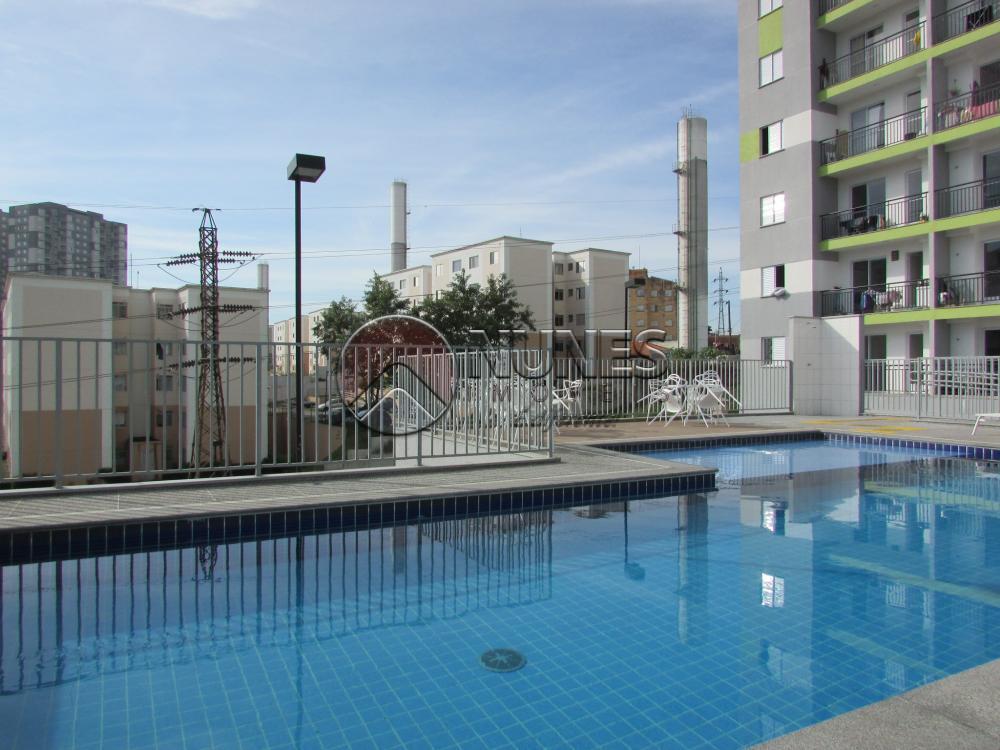 Alugar Apartamento / Padrão em Osasco apenas R$ 1.000,00 - Foto 19 Alugar Apartamento / Padrão em Osasco apenas R$ 1.000,00 - Foto 19