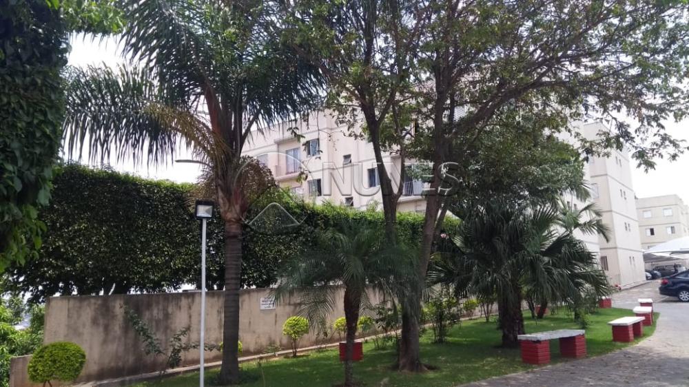 Alugar Apartamento / Padrão em Osasco apenas R$ 1.200,00 - Foto 1 Alugar Apartamento / Padrão em Osasco apenas R$ 1.200,00 - Foto 1