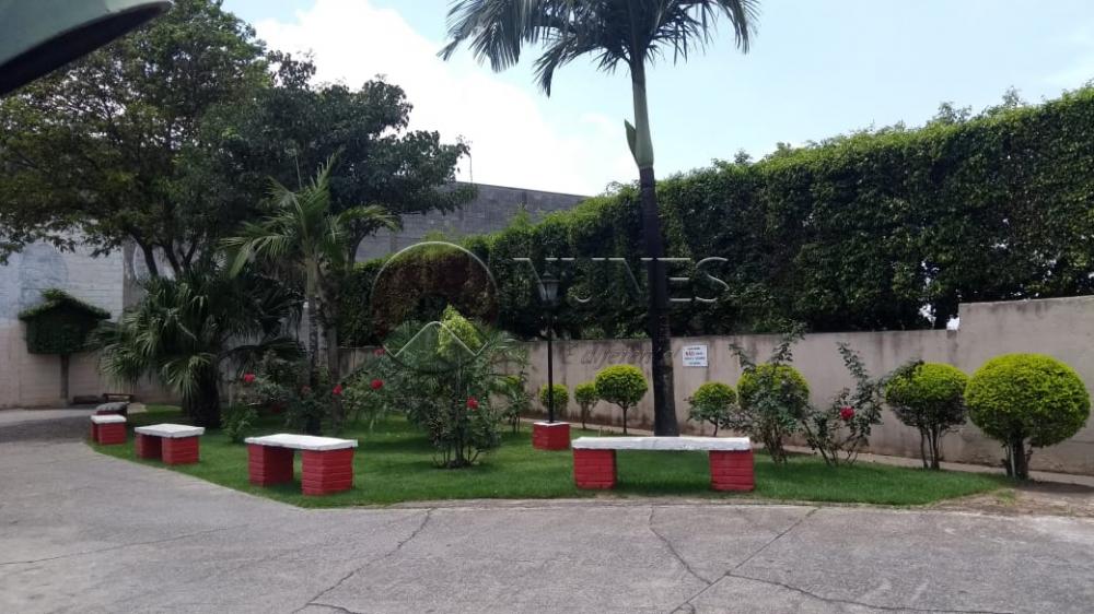 Alugar Apartamento / Padrão em Osasco apenas R$ 1.200,00 - Foto 4 Alugar Apartamento / Padrão em Osasco apenas R$ 1.200,00 - Foto 4