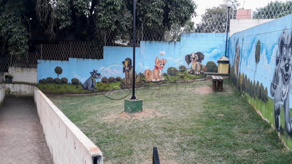 Comprar Apartamento / Padrão em Osasco apenas R$ 245.000,00 - Foto 13 Comprar Apartamento / Padrão em Osasco apenas R$ 245.000,00 - Foto 13