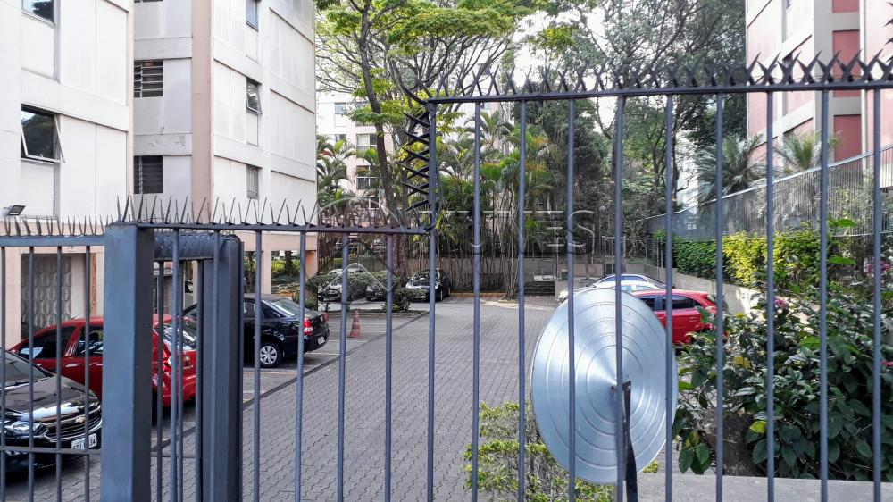 Comprar Apartamento / Padrão em São Paulo apenas R$ 305.000,00 - Foto 22 Comprar Apartamento / Padrão em São Paulo apenas R$ 305.000,00 - Foto 22