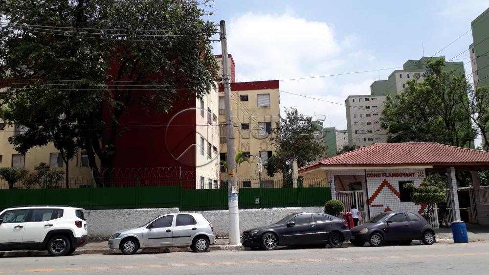Comprar Apartamento / Padrão em Osasco apenas R$ 195.000,00 - Foto 14 Comprar Apartamento / Padrão em Osasco apenas R$ 195.000,00 - Foto 14