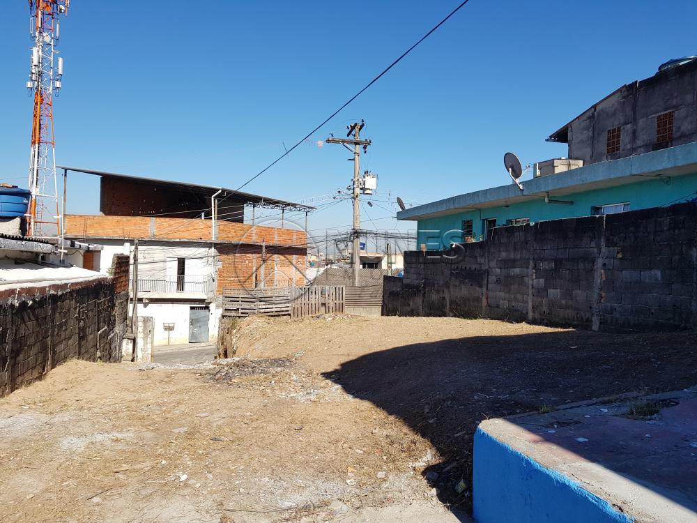Alugar Casa / Terrea em Osasco apenas R$ 750,00 - Foto 5 Alugar Casa / Terrea em Osasco apenas R$ 750,00 - Foto 5