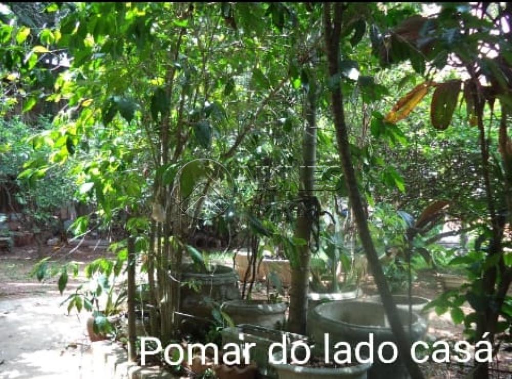 Comprar Comercial / Galpão em Osasco apenas R$ 1.250.000,00 - Foto 15 Comprar Comercial / Galpão em Osasco apenas R$ 1.250.000,00 - Foto 15